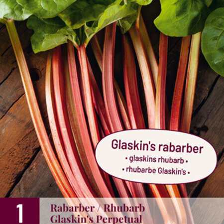 Rhubarb - Glaskin's Perpetual - Rhubarb Red - Buy Vegetable Plants?