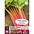 Rhabarber - Rhabarbarum - 1 Pflanze