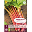Rhubarb - Rhabarbarum - Thick fleshy petioles - Buy Vegetable Plants?