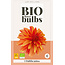 Dahlia Jablou - Biologische Bloembollen Kopen? - Garden-Select.nl