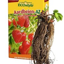 10 Erdbeerpflanzen mit Dünger