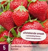 Aardbeienplanten 10 Stuks naar keuze incl. mest speciaal voor aardbeien! garden-select.nl