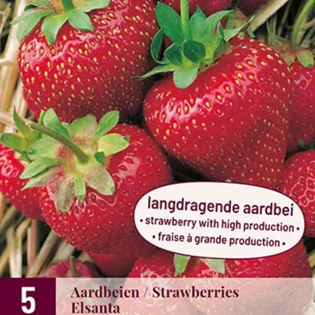 Aardbeienplanten 10 Stuks naar keuze incl. mest speciaal voor aardbeien! garden-select.nl