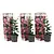 Mandevilla - Roze - 3 Planten