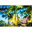 Brugmansia Geel - Trompetplant / Datura Kopen? Garden-Select.com