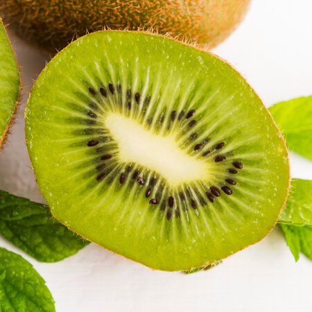 Kiwi "Jenny" - Selbstbefruchtende Kiwi-Pflanze - Sunny Place - 3 Pflanzen