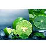 Limettenpflanzen (Citrus "Aurantifolia") Duftende Pflanzen - Zitruspflanzen - Sonniger Platz - 3 Planzen