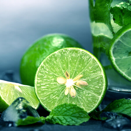 Limettenpflanzen (Citrus "Aurantifolia") Duftende Pflanzen - Zitruspflanzen - Sonniger Platz - 3 Planzen