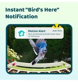 Birdfy Metal bird feeder with built-in camera and solar panel