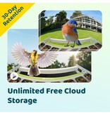 Birdfy Metall-Vogelfutterhaus mit integrierter Kamera und Solarpanel