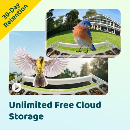 Birdfy Metall-Vogelfutterhaus mit integrierter Kamera und Solarpanel