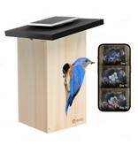 Birdfy Vogelhuisje Ebony Lite - Met Webcam - Uit Voorraad Leverbaar en Gratis Bezorging