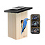 Birdfy Ebony Lite Birdhouse - With Webcam - Available from Stock and Free Delivery