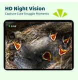 Birdfy Vogelhäuschen Ebony Lite – Mit Webcam – Ab Lager lieferbar und versandkostenfrei