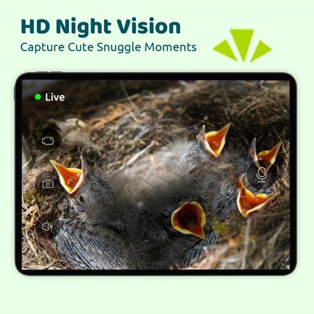 Birdfy Vogelhuisje Ebony Lite - Met Webcam - Uit Voorraad Leverbaar en Gratis Bezorging