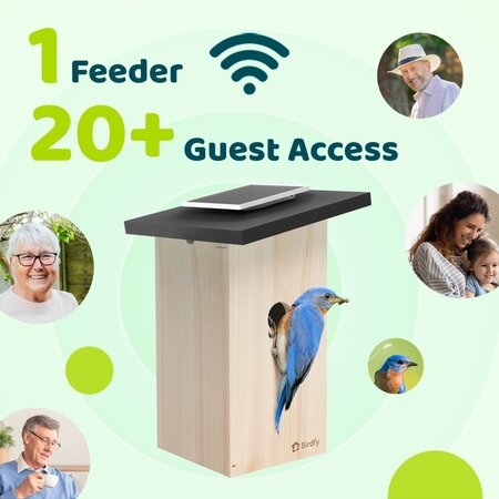 Birdfy Vogelhäuschen Ebony Lite – Mit Webcam – Ab Lager lieferbar und versandkostenfrei