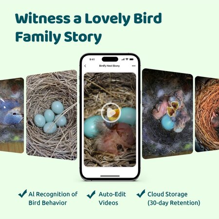 Birdfy Vogelhäuschen Ebony Lite – Mit Webcam – Ab Lager lieferbar und versandkostenfrei