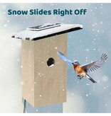 Birdfy Vogelhuisje Ebony Lite - Met Webcam - Uit Voorraad Leverbaar en Gratis Bezorging