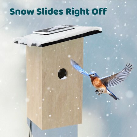 Birdfy Ebony Lite Birdhouse - With Webcam - Available from Stock and Free Delivery