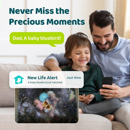 Birdfy Ebony Lite Birdhouse - With Webcam - Available from Stock and Free Delivery