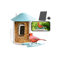 Bird feeder with camera and solar panel