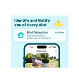 Birdfy Futterhaus mit Kamera und Solarpanel – Kostenlose Lieferung – Garden Select