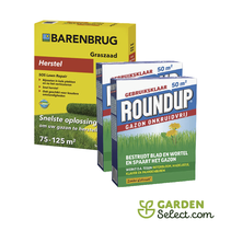 Lawn Repair Package 100 m2