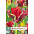 Jub Holland Tulp Seadov Parrot - Nieuw - 5 Bollen