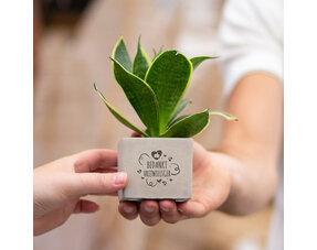 Business gifts and presents