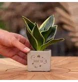 Congreet® plant pots - Small - Thank You - Thank you gift For every occasion