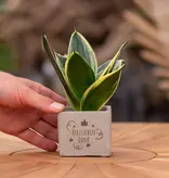 Congreet® plant pots - Small - Thank you very much - Want to buy personalised thank-you gifts?