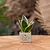 Congreet® plant pots - Small - Herzlichen Dank
