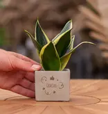 Congreet® plantpots - Klein - Gracias - Spaanse Bedankjes - Garden Select