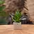 Congreet® plant pots - Small - Gracias