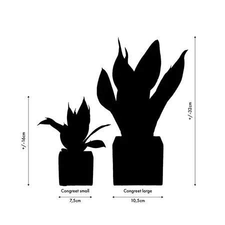 Congreet® Pflanztöpfe – Klein – Gracias – Spanische Dankeschön-Geschenke – Garden Select