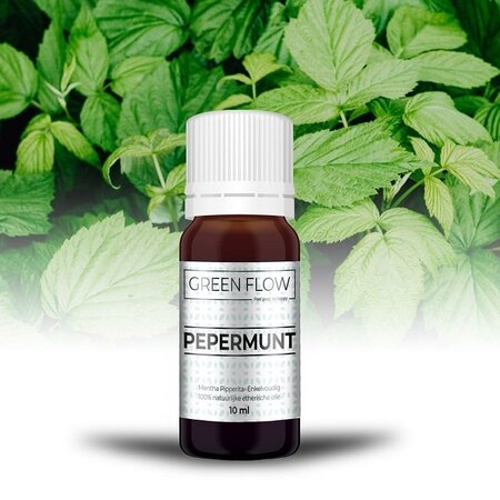 Peppermint - 10 ml - Green Flow - Essential Peppermint Oil from Mint Plant - Garden Select