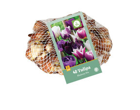 Grootverpakking Bloembollen