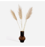 Droogbloemen - Set van 5 - Dryflower 'Cortaderia Plum' - Droogbloemen