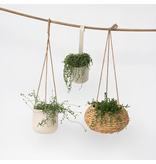 Parelketting - Mix van 3 - Senecio - Hoogte 25-35cm - ⌀12cm