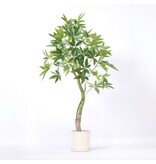 Kunstplant pachira - Hoogte 120cm