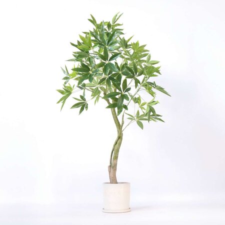 Kunstplant pachira - Hoogte 120cm