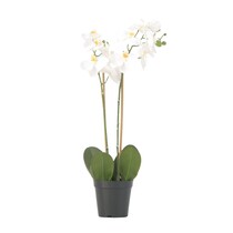 Kunstplant phalaenopsis orchidee - Wit - Hoogte 55cm