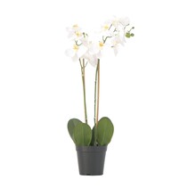 Kunstplant phalaenopsis orchidee - Wit - Hoogte 55cm
