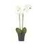 Kunstplant phalaenopsis orchidee - Wit - Hoogte 55cm
