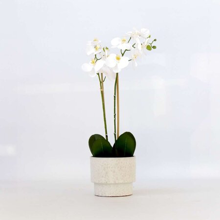 Kunstplant phalaenopsis orchidee - Wit - Hoogte 55cm