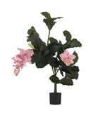Kunstplant Medinilla magnifica - Hoogte 85cm