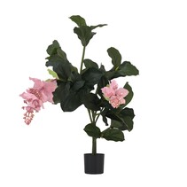 Kunstplant Medinilla magnifica - Hoogte 85cm