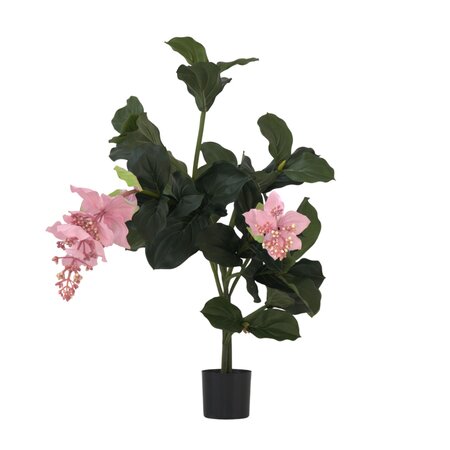 Kunstplant Medinilla magnifica - Hoogte 85cm