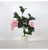 Kunstplant Medinilla magnifica - Hoogte 85cm