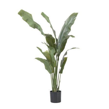 Kunstplant strelitzia - Hoogte 160cm